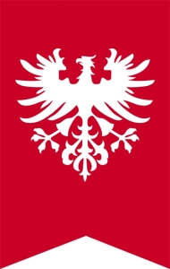 Flaga Powstańców Wielkopolskich